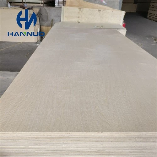 product-500-500 product-500-500